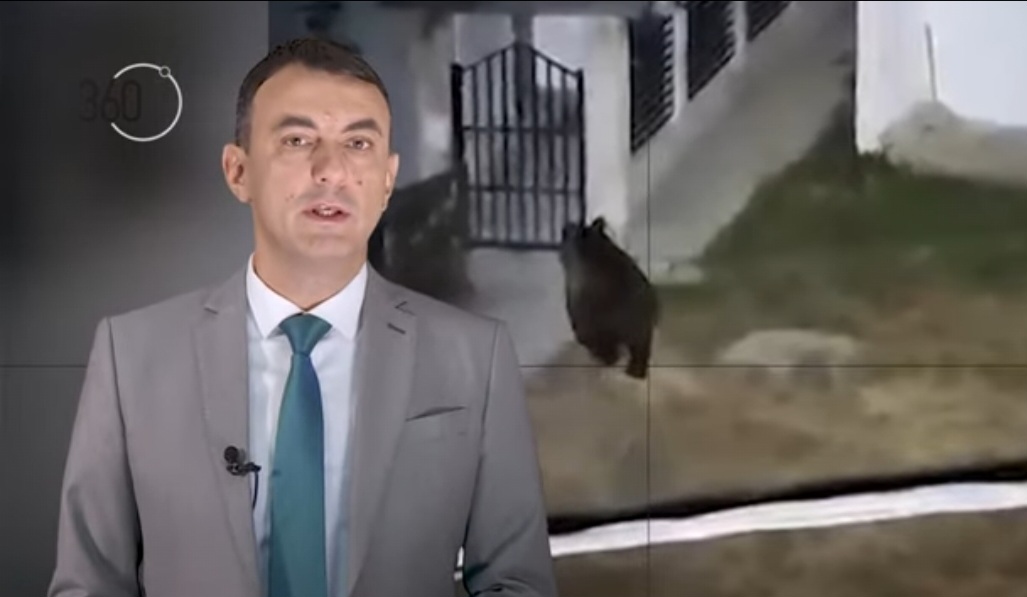 (ВИДЕО) Ново издание на 360°: „Ако ми влезе мечка, готова сум, ќе се ...