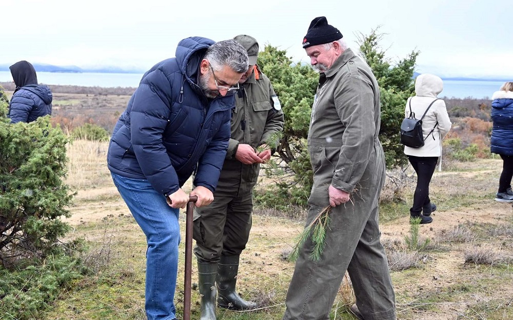 „Повеќе зелено“ – СДММ и СДСМ во акција за пошумување со 10 000 садници ...
