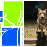 Post featured image