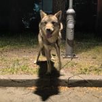 Post featured image