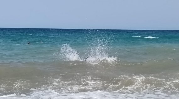 Post featured image